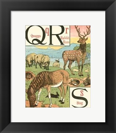 Framed Noah&#39;s Alphabet V Print