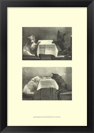 Framed Waiting For Dinner Print