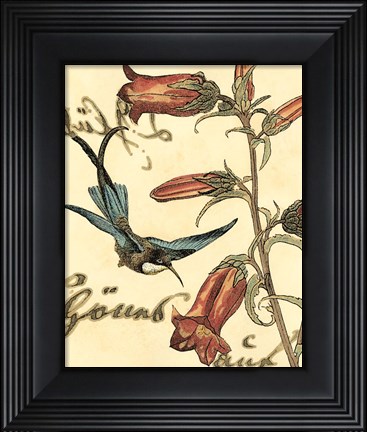 Framed Small Hummingbird Reverie I Print