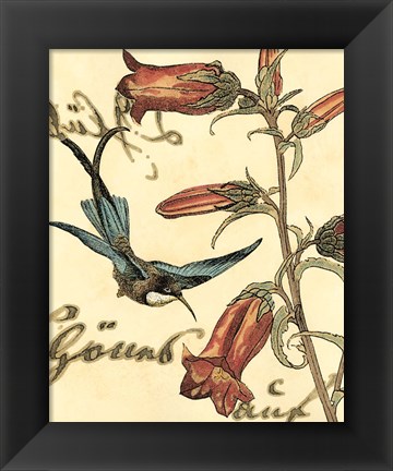 Framed Small Hummingbird Reverie I Print