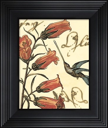 Framed Small Hummingbird Reverie II Print