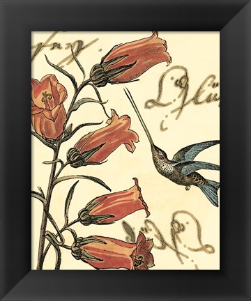 Framed Small Hummingbird Reverie II Print