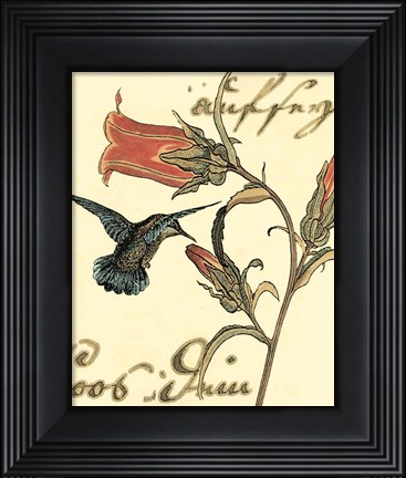 Framed Small Hummingbird Reverie III Print