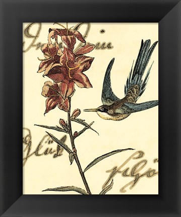 Framed Small Hummingbird Reverie IV Print