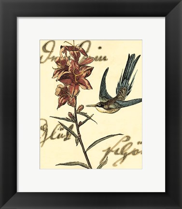 Framed Small Hummingbird Reverie IV Print