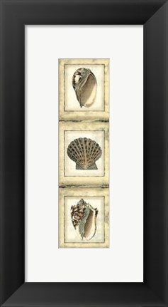 Framed Mini Rustic Shell Panel I Print