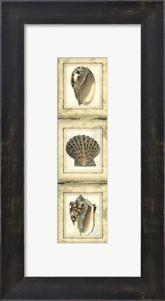 Framed Mini Rustic Shell Panel I Print