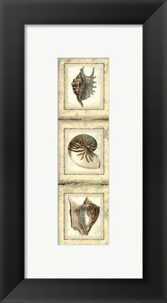 Framed Mini Rustic Shell Panel II Print