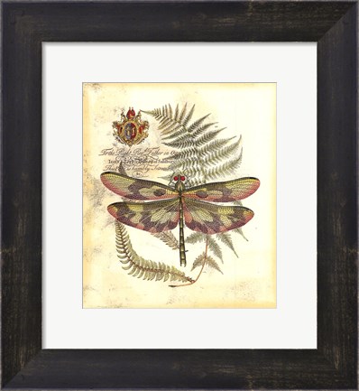 Framed Mini Regal Dragonfly IV Print