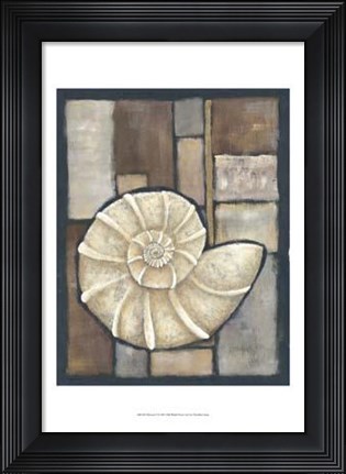 Framed Abalone I Print