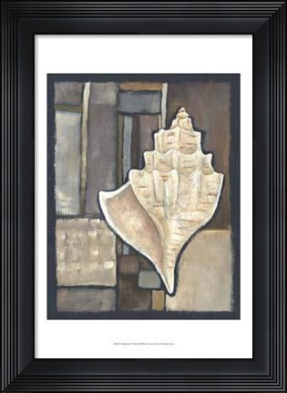 Framed Abalone II Print