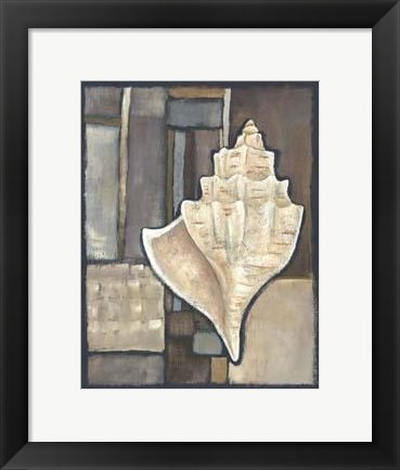Framed Abalone II Print