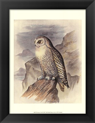 Framed Snowy Owl Print