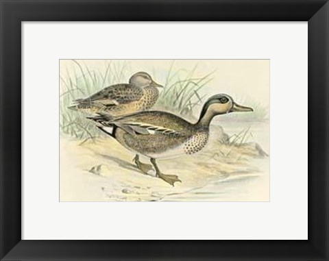 Framed Teal Print