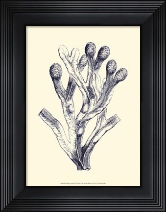 Framed Indigo Kelp II Print