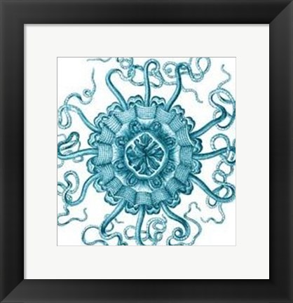 Framed Ocean Gems II Print