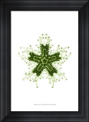 Framed Ocean Gems IV Print