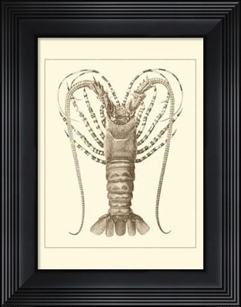 Framed Sepia Lobster I Print