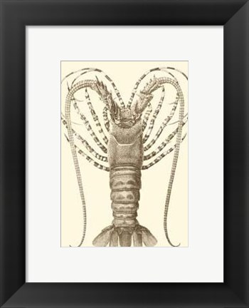Framed Sepia Lobster I Print