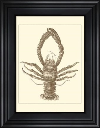 Framed Sepia Lobster II Print