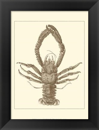 Framed Sepia Lobster II Print