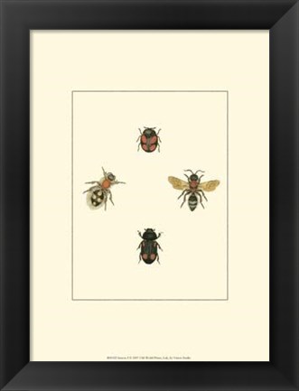 Framed Insecte I Print