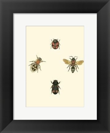 Framed Insecte I Print