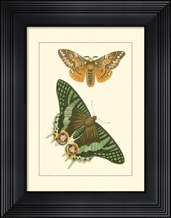 Framed Papillion I Print