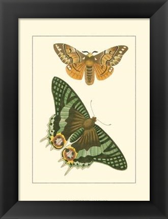 Framed Papillion I Print