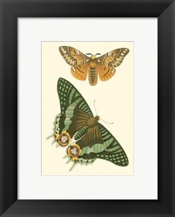 Framed Papillion I Print