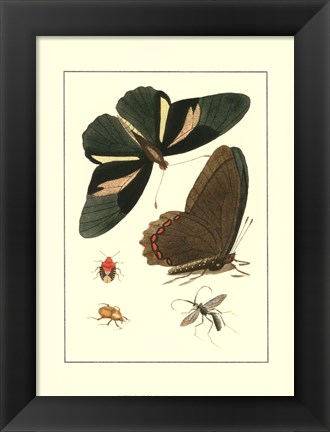 Framed Papillion III Print
