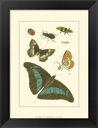 Framed Papillion V Print