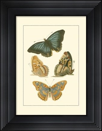 Framed Papillion VI Print