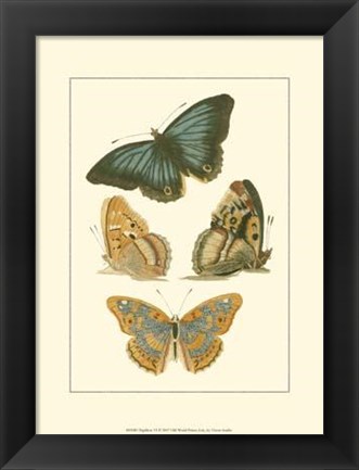 Framed Papillion VI Print