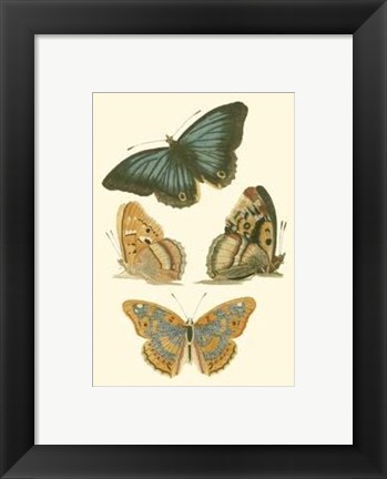 Framed Papillion VI Print