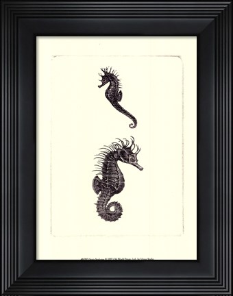 Framed Sepia Seahorse Print