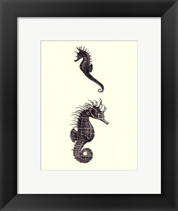 Framed Sepia Seahorse Print
