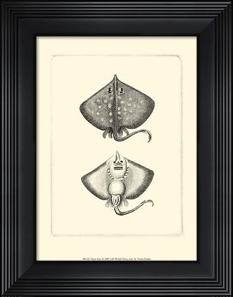 Framed Sepia Rays Print