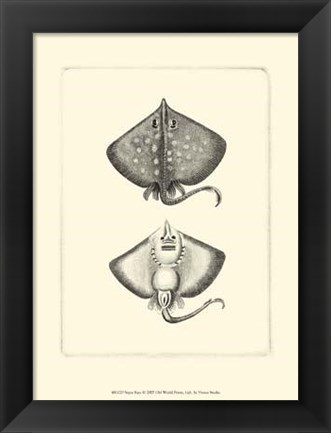 Framed Sepia Rays Print