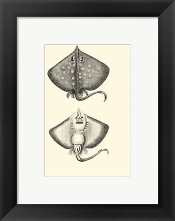 Framed Sepia Rays Print