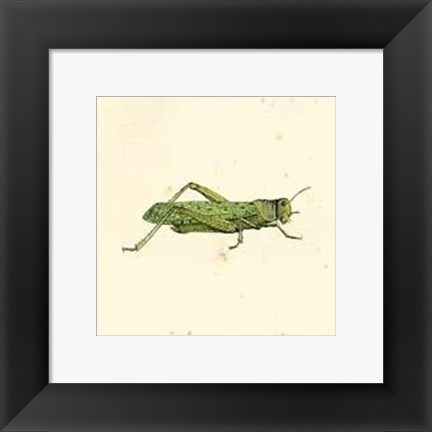 Framed Green Hopper Print