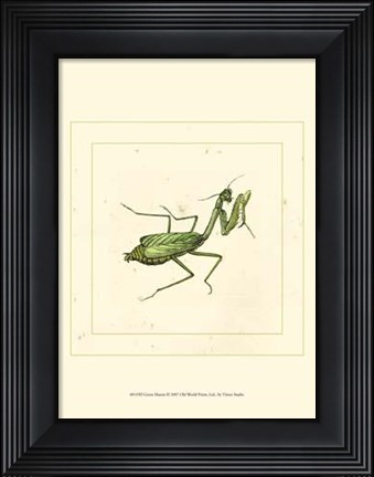 Framed Green Mantis Print