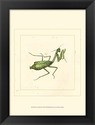 Framed Green Mantis Print