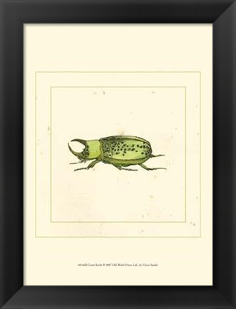 Framed Green Beetle Print