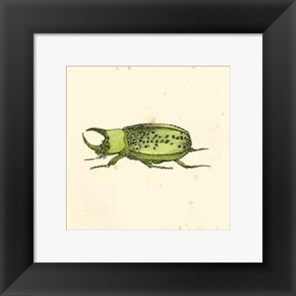 Framed Green Beetle Print