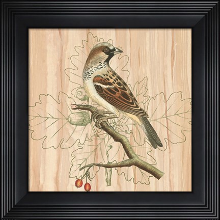 Framed Treetops III Print