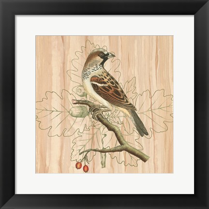 Framed Treetops III Print