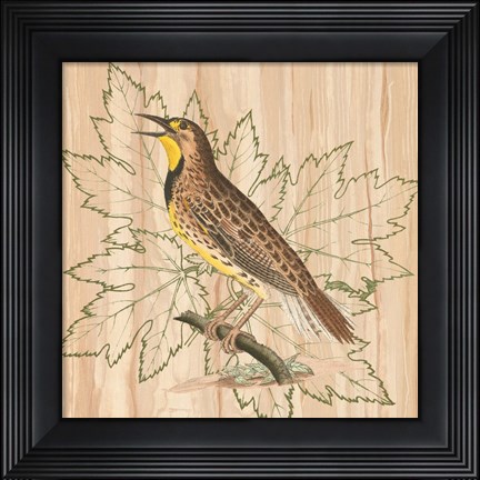 Framed Treetops IV Print