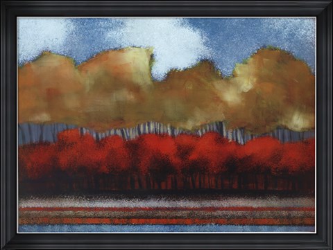 Framed Fallen Sky IV Print