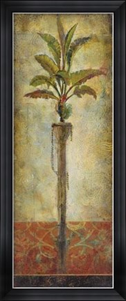 Framed Echoes Of Cadiz II Print